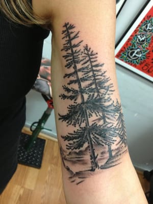 Bob Robert's Spotlight Tattoo by null