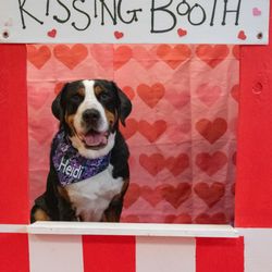 Town & Country Pet Care Center