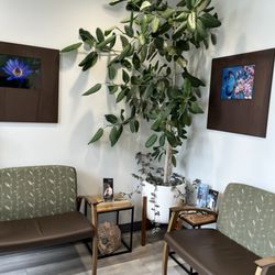 Niwa Aesthetics And Wellness