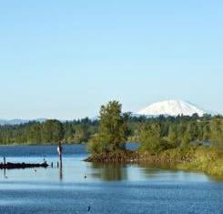 Collins Beach (clothing optional) by null
