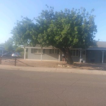 J-Rock Tree Service - Tree Services Near Me