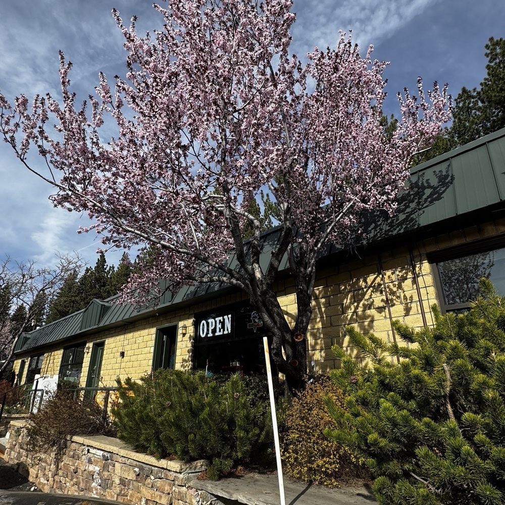 Castle Rock Creamery - Entrance - Desserts Near Me - Stateline, Nevada