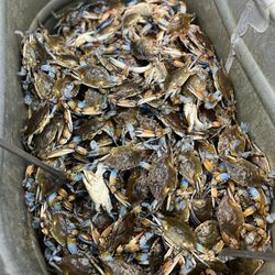 Mango Tree Supermarket  - Blue crabs. Yesssss!!! Need to have crab night soon.