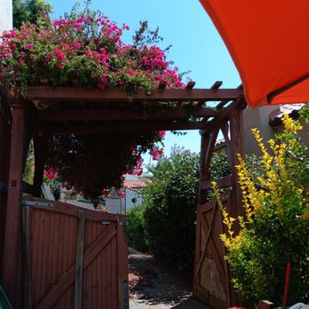Miguel's Gardening Service - Bougainvillea - Back View - Landscaping Near Me Miguel's Gardening Service - Bougainvillea - Back View - Landscaping Near Me