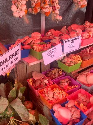 Bloomfield Saturday Market by null