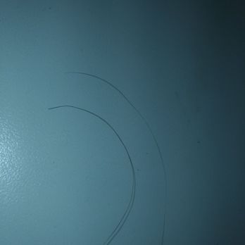 Romano Pizza & Pasta - The one on the left is my hair black. The one on the right is brown blond. - Pizza Near Me - Seattle, Washington
