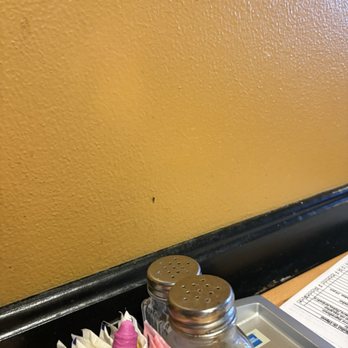 Asahi - Fruit fly on wall - Japanese Near Me - Louisville, Kentucky Asahi - Fruit fly on wall - Japanese Near Me - Louisville, Kentucky
