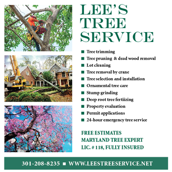 Lee's Tree Service - Tree Services Near Me - Poolesville, Maryland Lee's Tree Service - Tree Services Near Me - Poolesville, Maryland