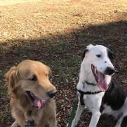 A Dog's Best Buddy - Jermaine & Winnie