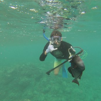 Spearfish Kauai - Fishing Near Me