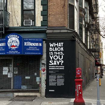 Storefront For Art and Architecture - What Black Is This, You Say? By Amanda Williams - Art Galleries Near Me - New York, New York Storefront For Art and Architecture - What Black Is This, You Say? By Amanda Williams - Art Galleries Near Me - New York, New York