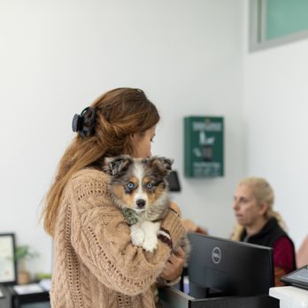 SF SPCA Community Veterinary Clinic - Veterinarians Near Me - San Francisco, California SF SPCA Community Veterinary Clinic - Veterinarians Near Me - San Francisco, California