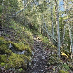 Isle Royale National Park - Example of trail quality