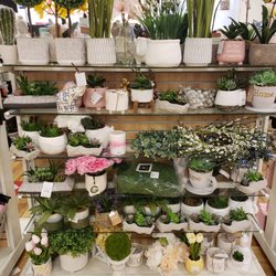 TJ Maxx - Artificial plants