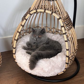 Peace Arch Veterinary Hospital - My beautiful boy - Veterinarians Near Me - Surrey, British Columbia Peace Arch Veterinary Hospital - My beautiful boy - Veterinarians Near Me - Surrey, British Columbia