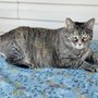 Photo of Cahill Veterinary Hospital