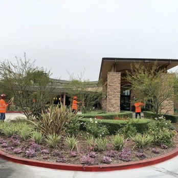 Personalized Tree Service - Beautifying and properly maintaining urban forestry. - Tree Services Near Me Personalized Tree Service - Beautifying and properly maintaining urban forestry. - Tree Services Near Me