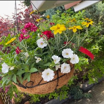 Terra Greenhouses - Flowers delivered and not ordered. - Home & Garden Near Me - Maple, Ontario Terra Greenhouses - Flowers delivered and not ordered. - Home & Garden Near Me - Maple, Ontario