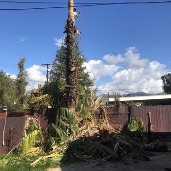 Golden State Tree Service - Tree Services Near Me - Glendora, California
