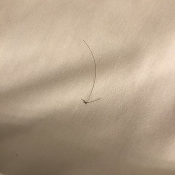 Lovers Point Inn - Hairs found on the mattress sheets - Hotels Near Me - Pacific Grove, California Lovers Point Inn - Hairs found on the mattress sheets - Hotels Near Me - Pacific Grove, California