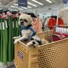 Marshalls & Homegoods gift card
