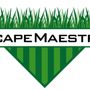 Photo of Scape Maestro