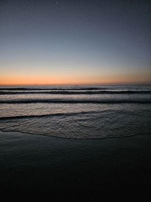 Lori Wilson Park by null