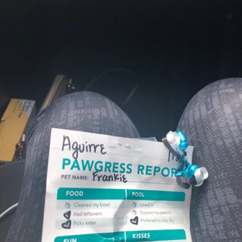 Pet Paradise Rio Rancho - They gave him a Progress report after his stay. So cute. Very happy with their services. Highly recommend and will be back! - Pet Groomers Near Me - Rio Rancho, New Mexico