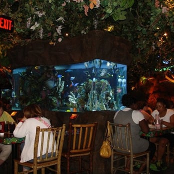 Rainforest Cafe - American Near Me - Atlantic City, New Jersey Rainforest Cafe - American Near Me - Atlantic City, New Jersey