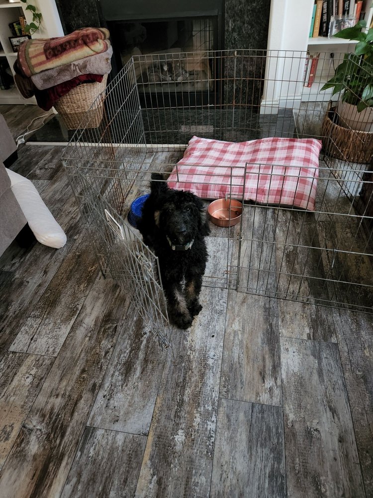 HAPPY PAWS RESCUE Updated October 2024 28 Photos & 57 Reviews