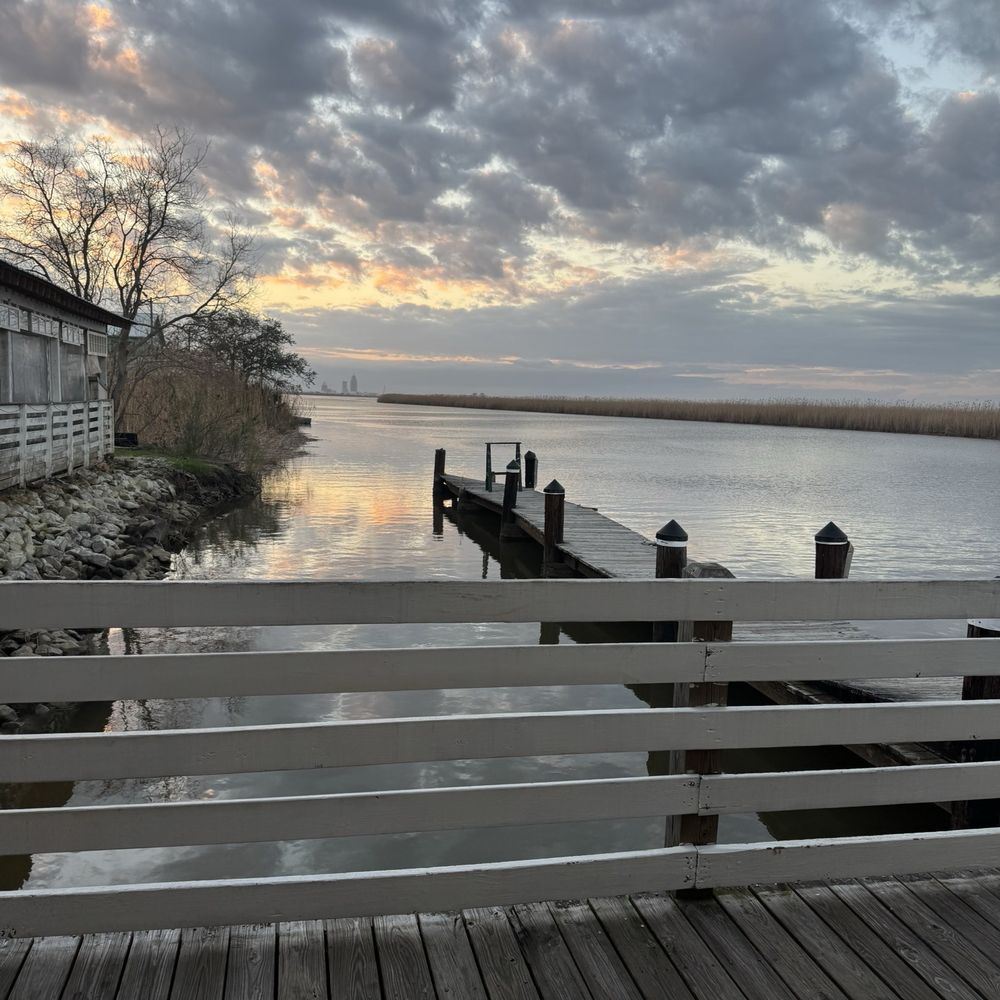 BLUEGILL Restaurant - View - Seafood Near Me - Spanish Fort, Alabama BLUEGILL Restaurant - View - Seafood Near Me - Spanish Fort, Alabama