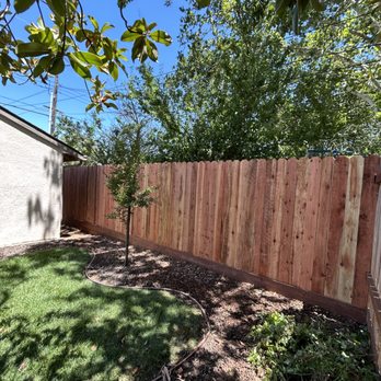 Vazquez Main Landscape - Final look - Landscaping Near Me Vazquez Main Landscape - Final look - Landscaping Near Me