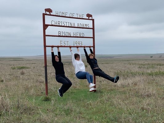 Joseph H. Williams Tallgrass Prairie Preserve by null