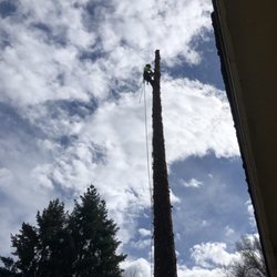 Zero Gravity Tree Service