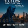 Photo of Blue Lion Investigations