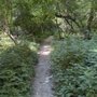 Photo of Glover Archbold Trail