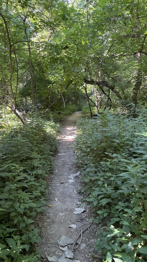 Glover Archbold Trail Logo