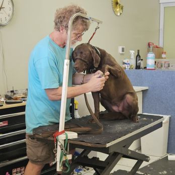 All Aboard Dog Grooming - Still great! - Pet Groomers Near Me - Novato, California All Aboard Dog Grooming - Still great! - Pet Groomers Near Me - Novato, California