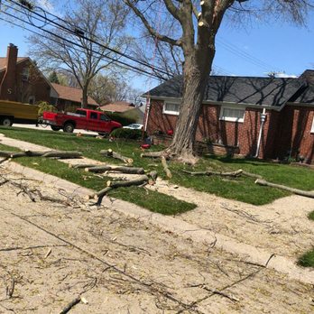 Adrian's Tree Service - Tree Services Near Me - Walled Lake, Michigan Adrian's Tree Service - Tree Services Near Me - Walled Lake, Michigan