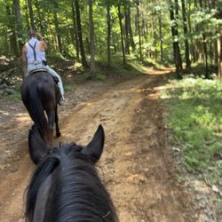 Jesse James Riding Stables & Outlaw Cave