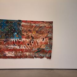 Jan Shrem and Maria Manetti Shrem Museum of Art - Mike Henderson exhibit