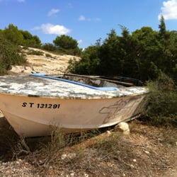 The Fish Shack - Surroundings