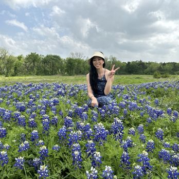Ennis Bluebonnet Trails - Festivals Near Me - Ennis, Texas Ennis Bluebonnet Trails - Festivals Near Me - Ennis, Texas
