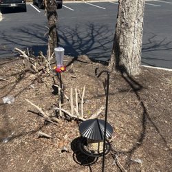 Sit on the patio and bird watch.  We've added bird feeders and a bird bath as well.