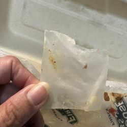 Piece of paper that came on cheese in my sub