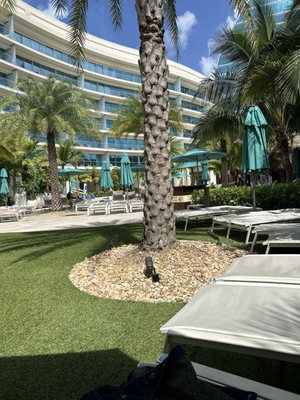 Seminole Hard Rock Hotel & Casino Hollywood, FL by null