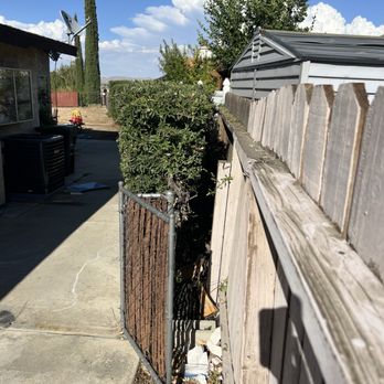 So Cal Pruners - After pic side profile - Tree Services Near Me So Cal Pruners - After pic side profile - Tree Services Near Me