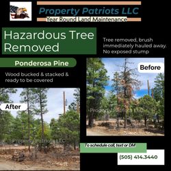 Property Patriots - This tree was no longer viable and needed to go. We can help remove yours too! Call or Text 505.414.3440