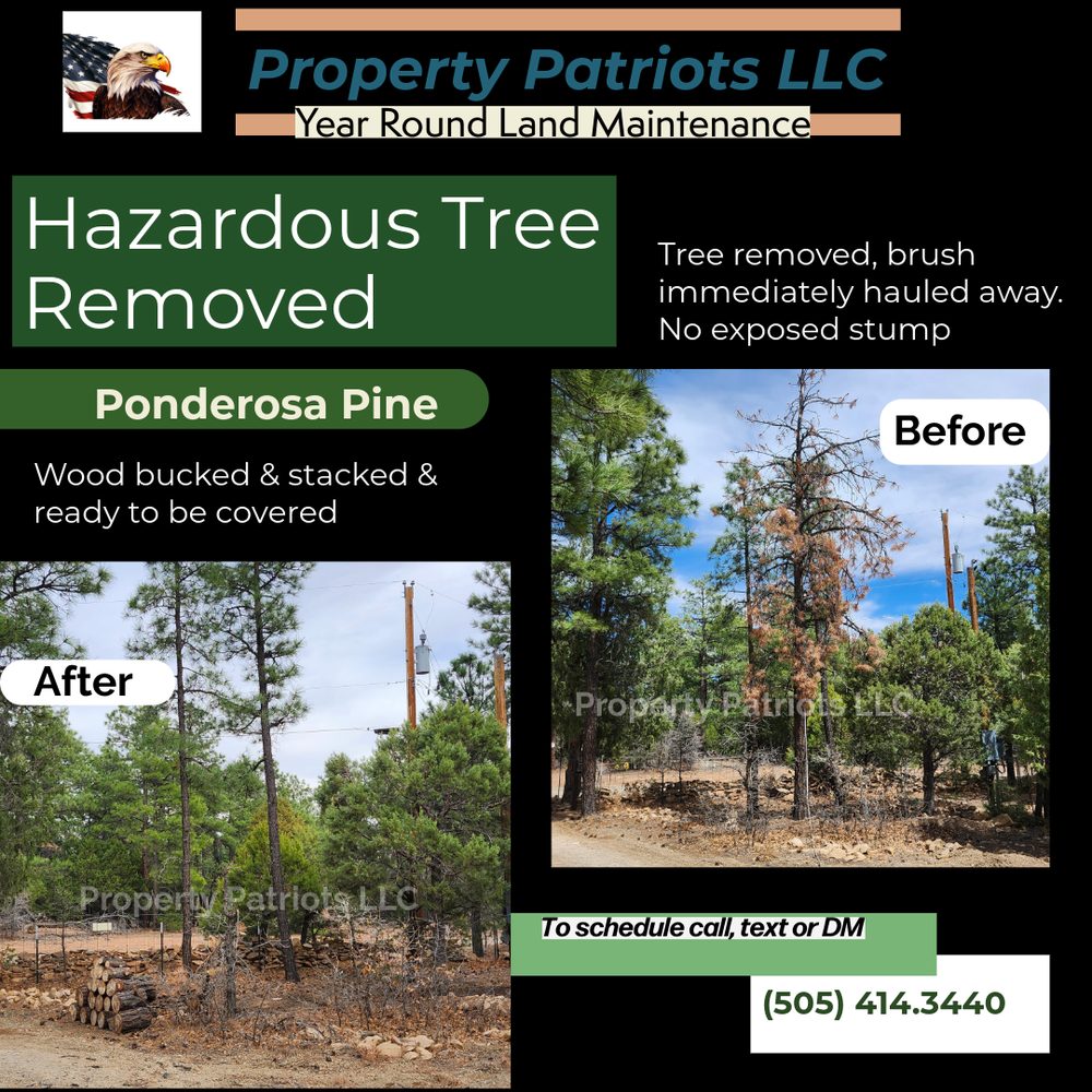 Property Patriots - veterans service organization in Edgewood, NM