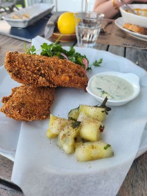 Minnow At The Galley Ho by null